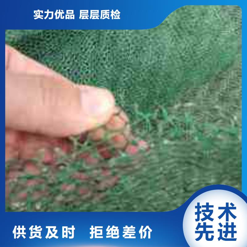 【三维植被网】防渗土工膜专注产品质量与服务专注产品质量与服务