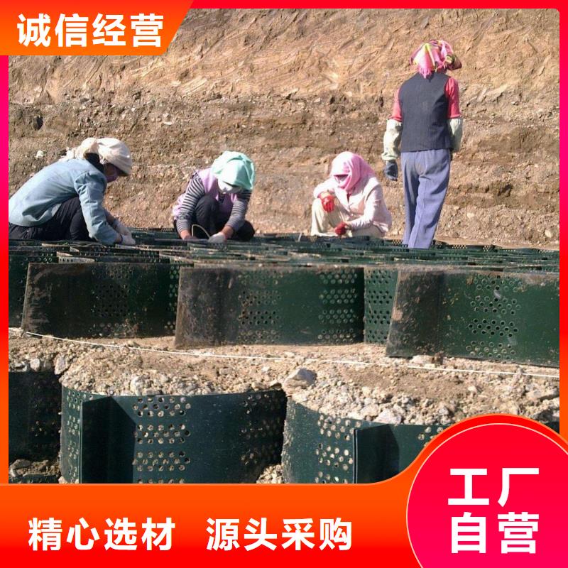 土工格室-厂家价格供应蜂巢土工格室、HDPE塑料土工格室定制诚信商家服务热情