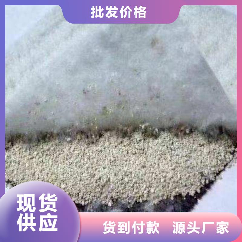 膨润土防水毯天然钠基膨润土防水毯厂家直销价格优惠发现货品质值得信赖