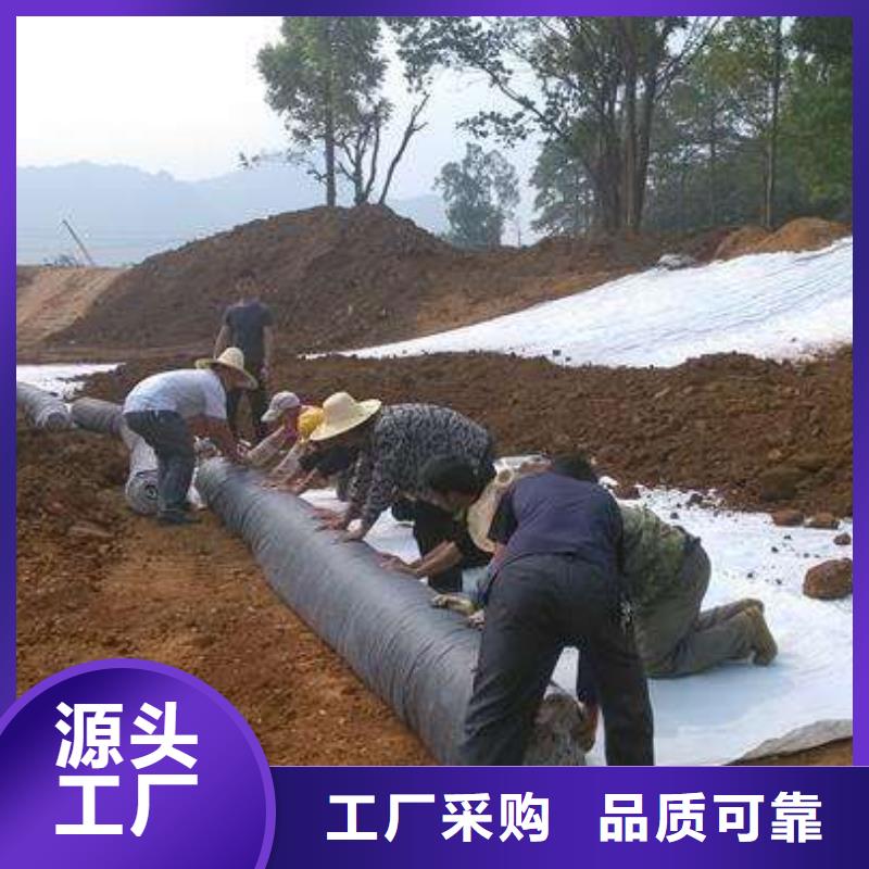 膨润土防水毯天然钠基膨润土防水毯产品性能