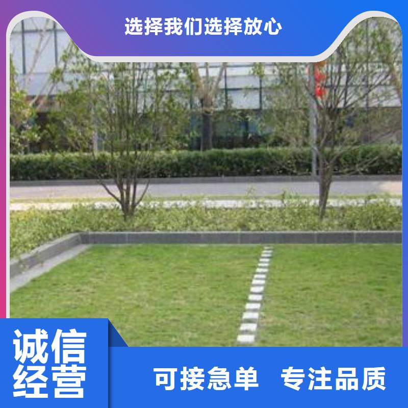 植草格双向拉伸塑料格栅一手价格价格低