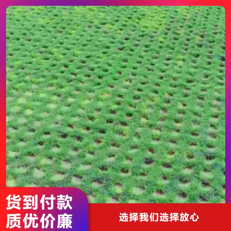 【植草格,软式透水管现货销售】附近生产厂家