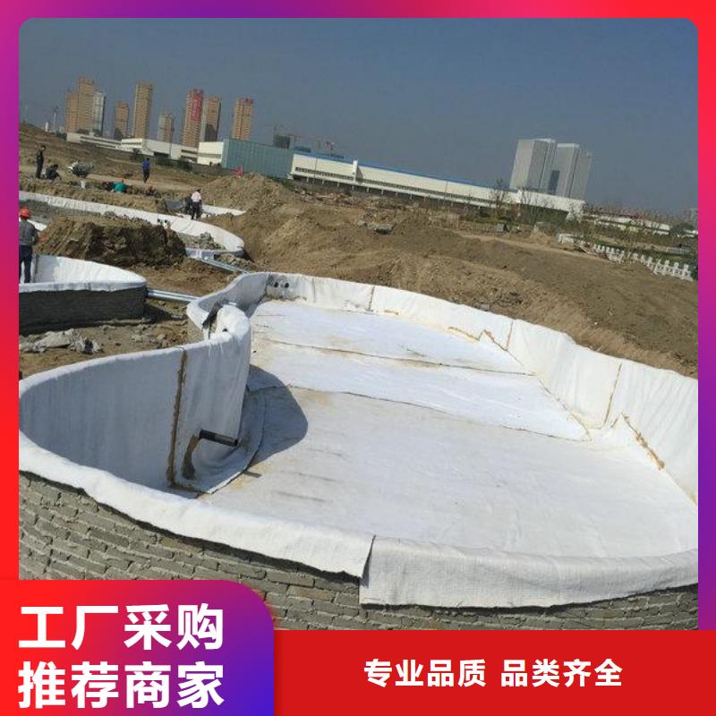 GCL钠基膨润土防水毯规格型号齐全/可定制源厂供货