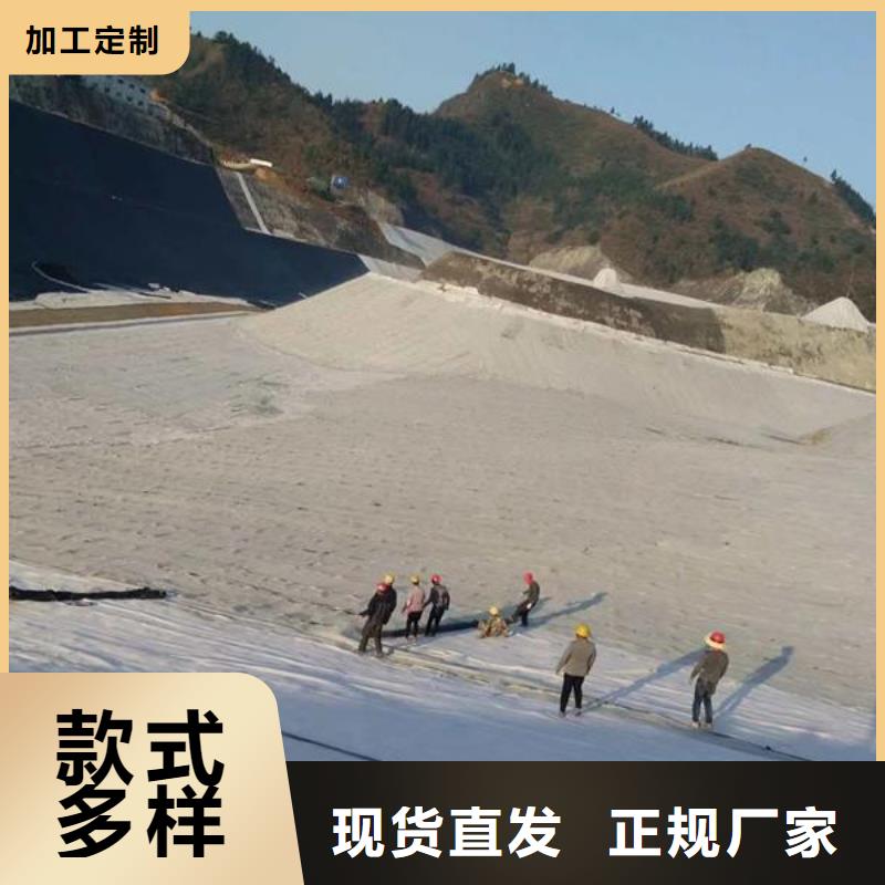 昌江县GCL钠基膨润土防水毯生产基地附近服务商