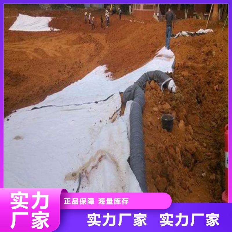 膨润土防水毯_玻纤土工格栅支持定制本地生产厂家