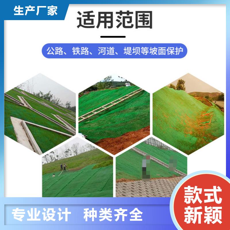 塑料三维植被网价格/2024年最新报价当地生产厂家