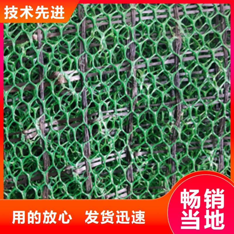 三维植被网垫多规格可定制本地品牌