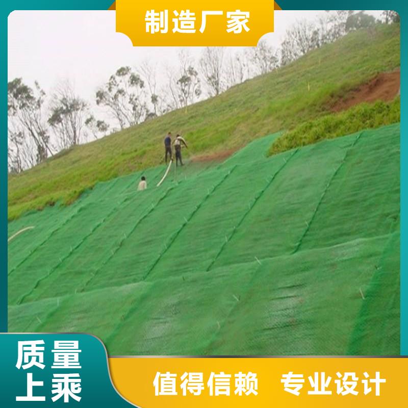 【三维植被网HDPE黑色土工膜质量层层把关】本地服务商