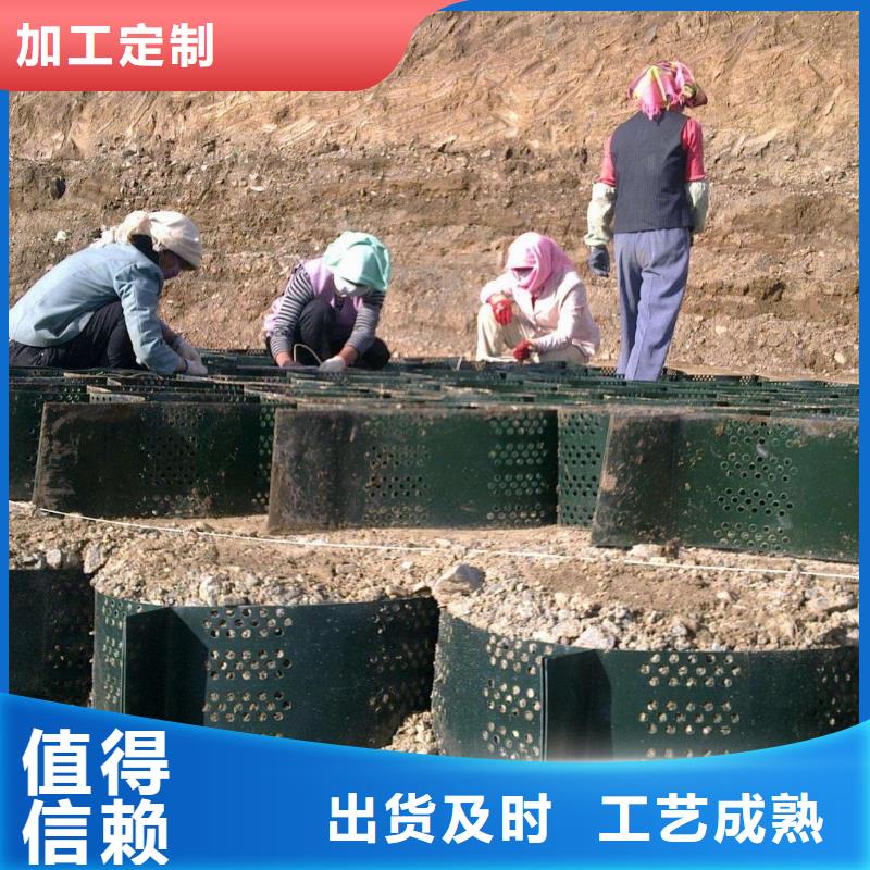 土工格室_垃圾填埋场材料满足客户需求款式多样