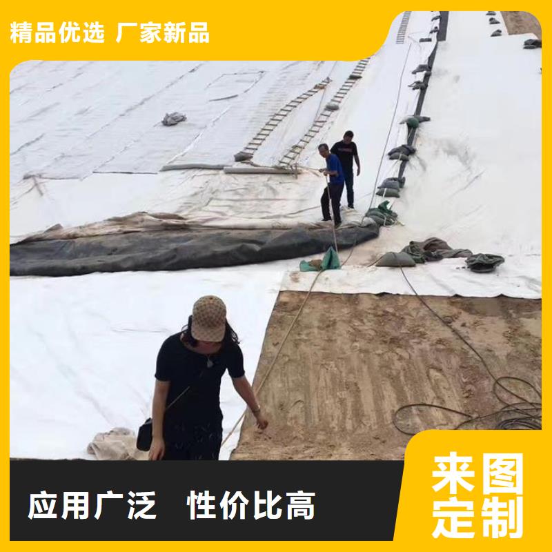 【三维复合排水网HDPE土工膜专心专注专业】本地公司