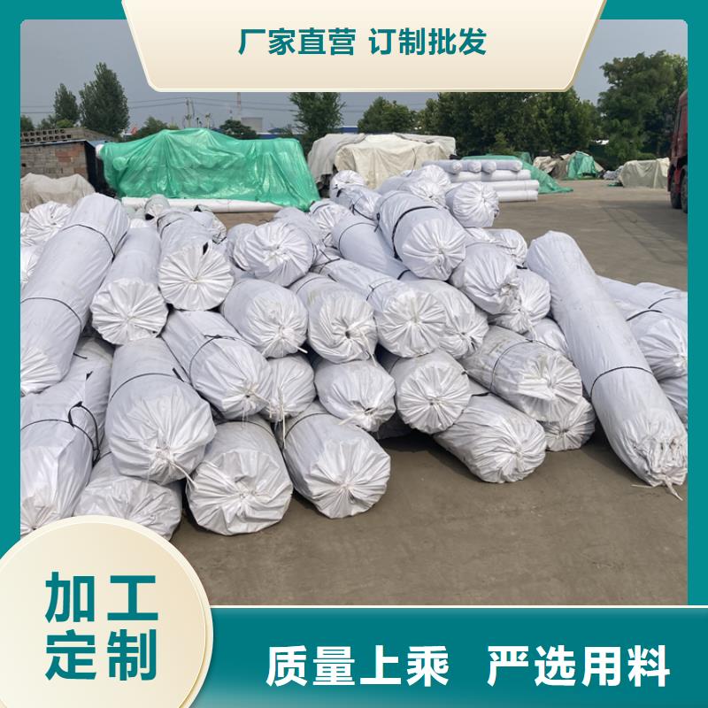 双向土工格栅凸结点钢塑格栅哪里有品质保障售后无忧