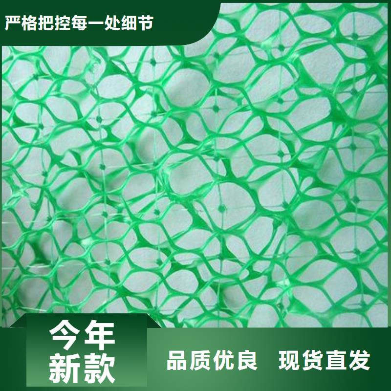 三维土工网厂家三维复合排水网价格复合三维网多少钱详细参数