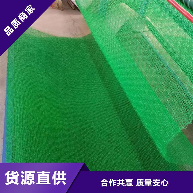 三维植被网【双向塑料格栅】品质卓越附近生产厂家