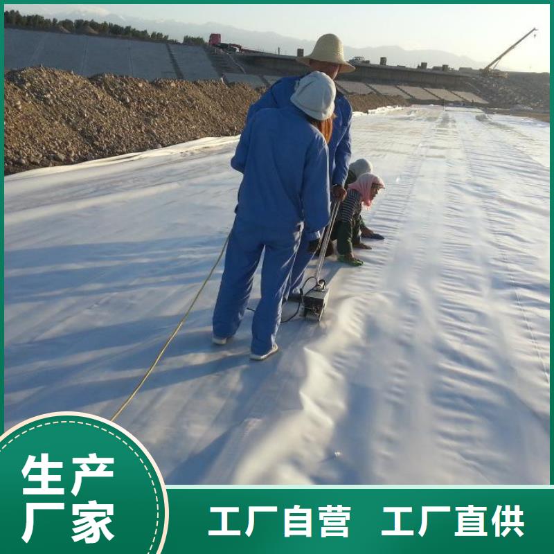 鱼塘防渗膜质优价廉生产基地当地生产商