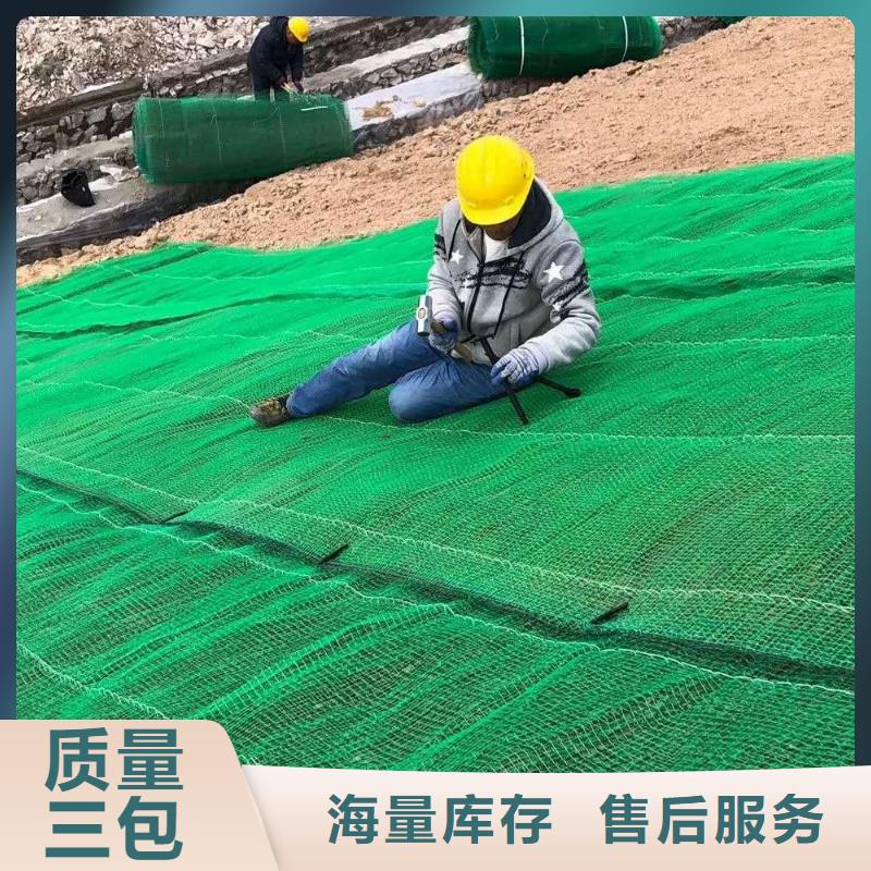 三维土工网垫厂家价格土工网垫厂家三维植被网本地生产商