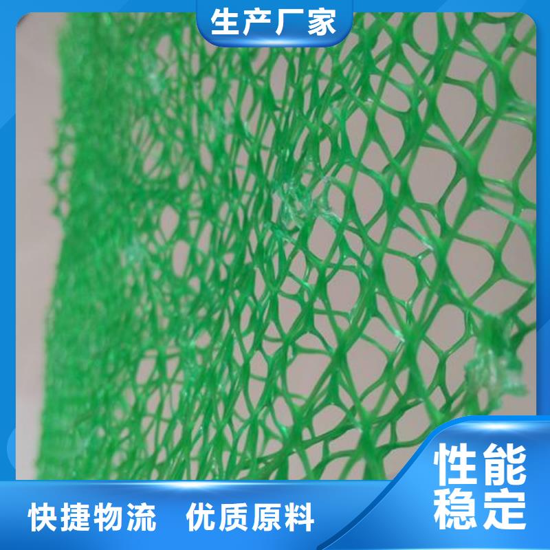 三维植被网护坡植草生产厂家当地公司