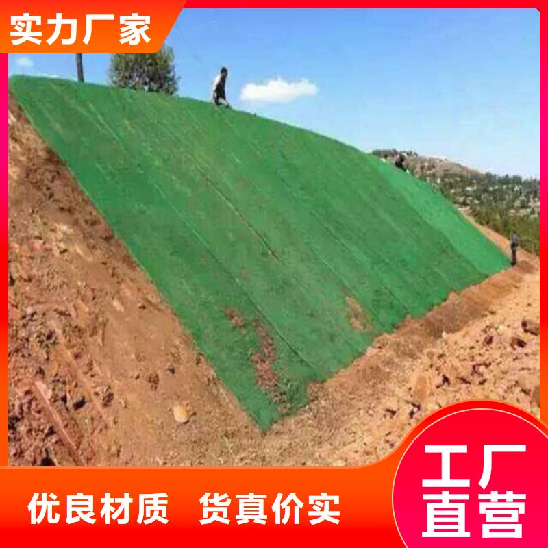 三维植被网,双向塑料土工格栅厂家直销供货稳定当地经销商