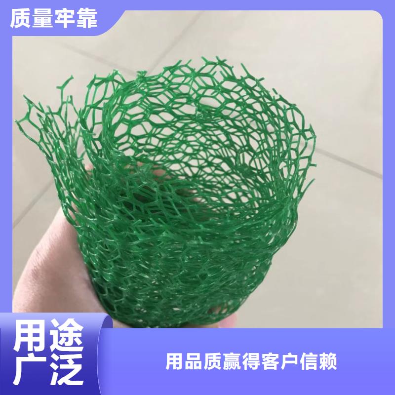 三维植被网护坡做法-价格低优势