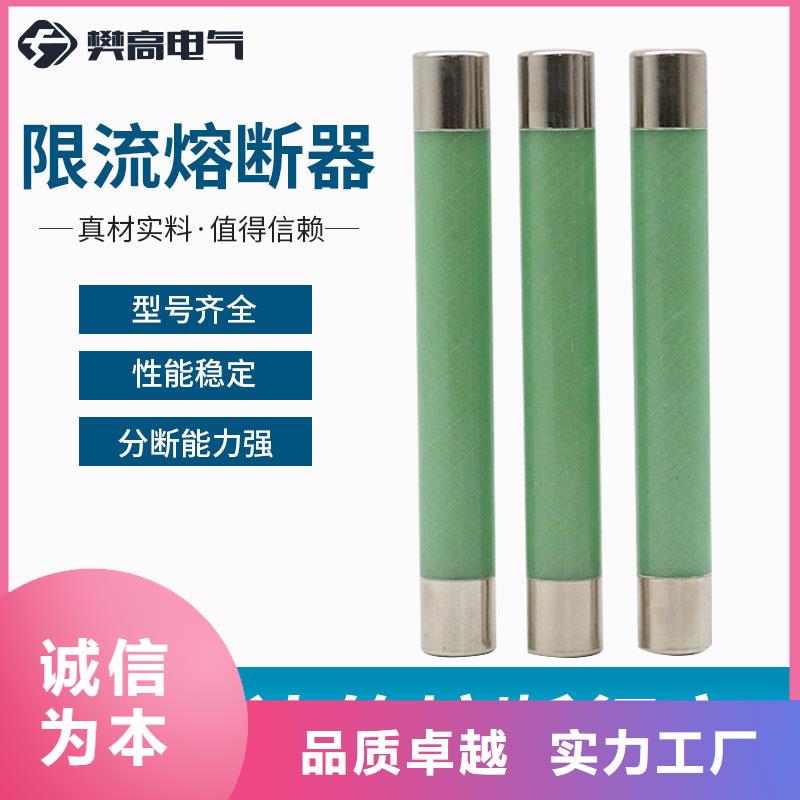 XRNP1-3.6/2A限流熔断器附近经销商