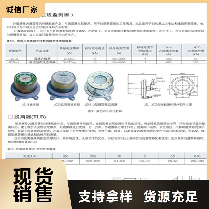 JS-9避雷器计数器品质信得过