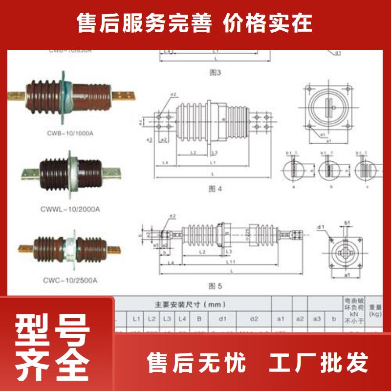 CWWB-10/1250A-4高压穿墙套管质量安心