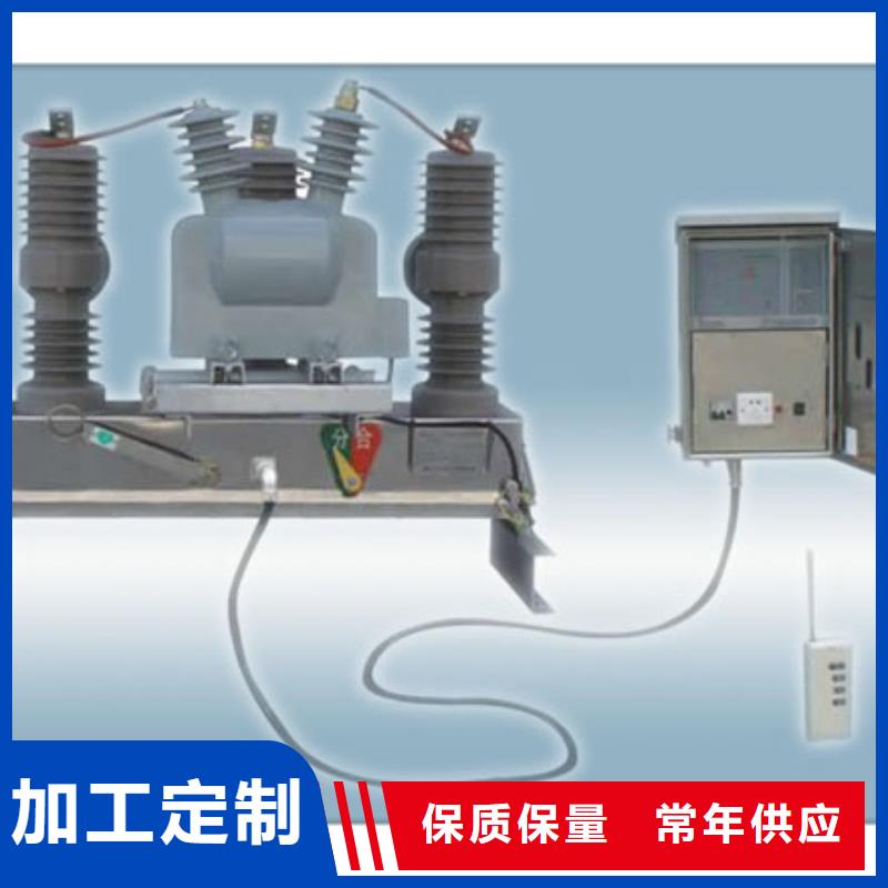 ZW8户外永磁式真空断路器厂家设备齐全支持定制