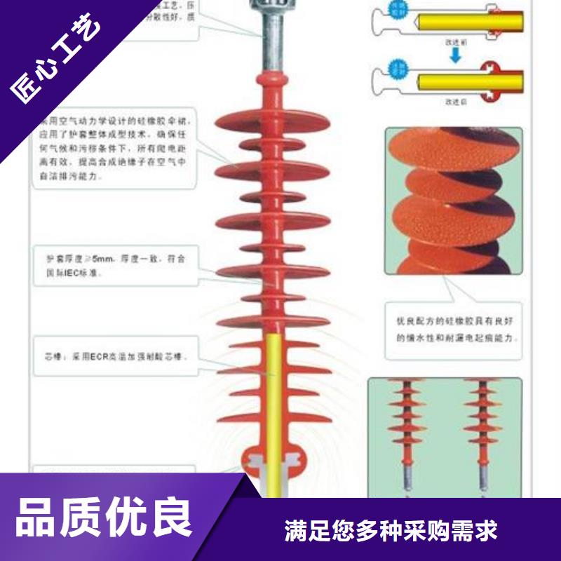 ZSW-24/30绝缘子本地公司