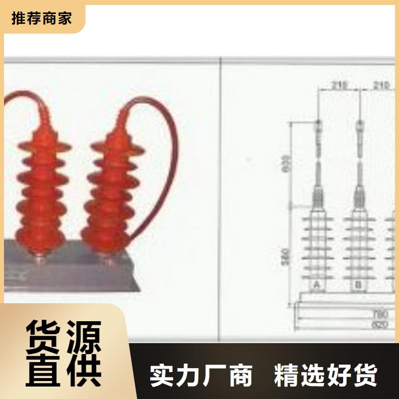 过电压保护器电缆附件现货销售厂家货源稳定