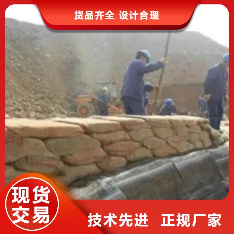 宽城单向土工格栅厂家可定制生产商厂家直销直供