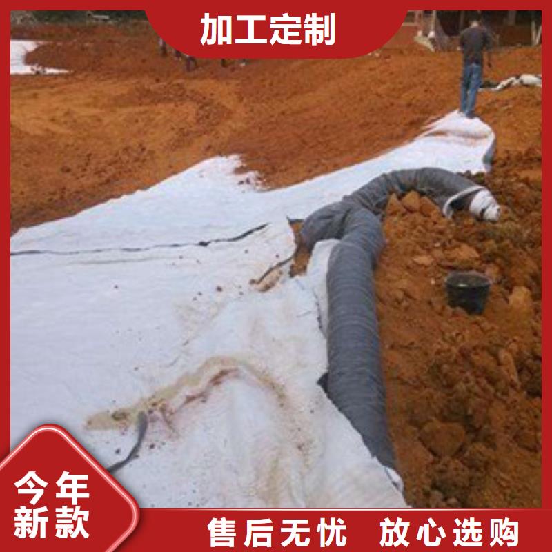 膨润土防水毯、——价格畅销本地