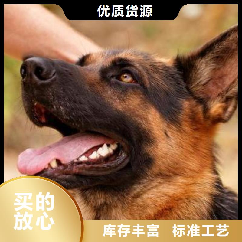 德国牧羊犬_卡斯罗犬出厂价认准大品牌厂家