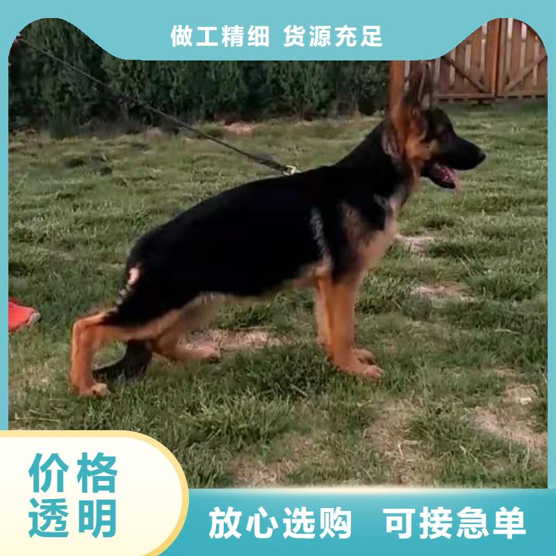 【德国牧羊犬杜高犬精选优质材料】优质原料