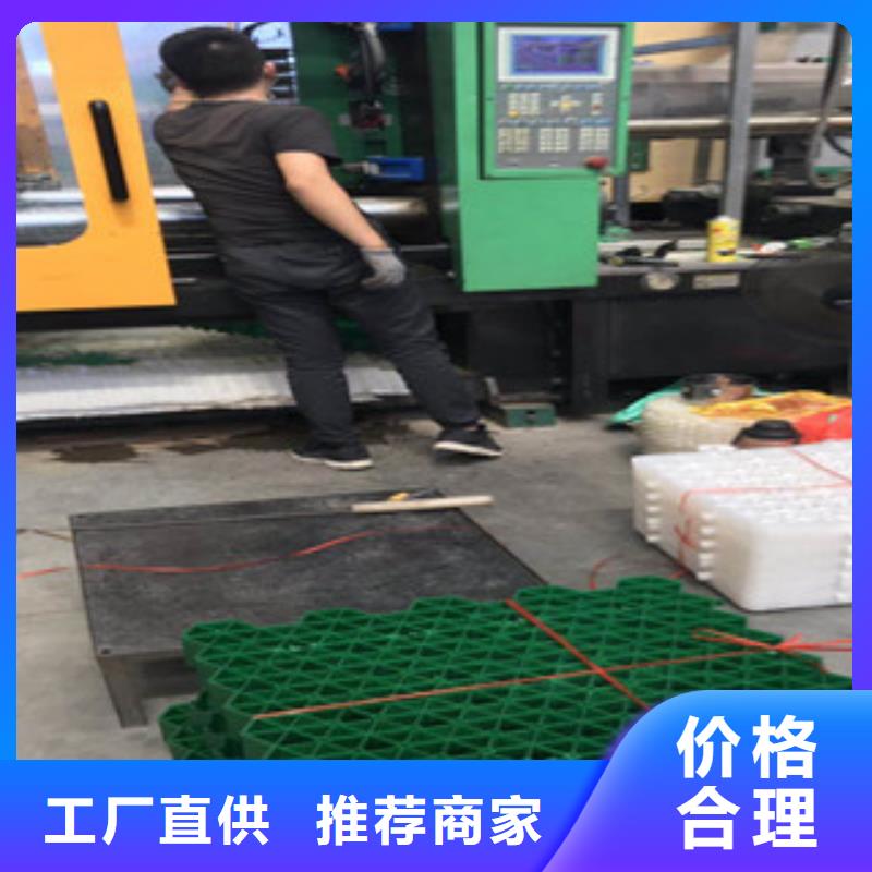 实业生产停车场绿化草坪植草格地下工程物流配送