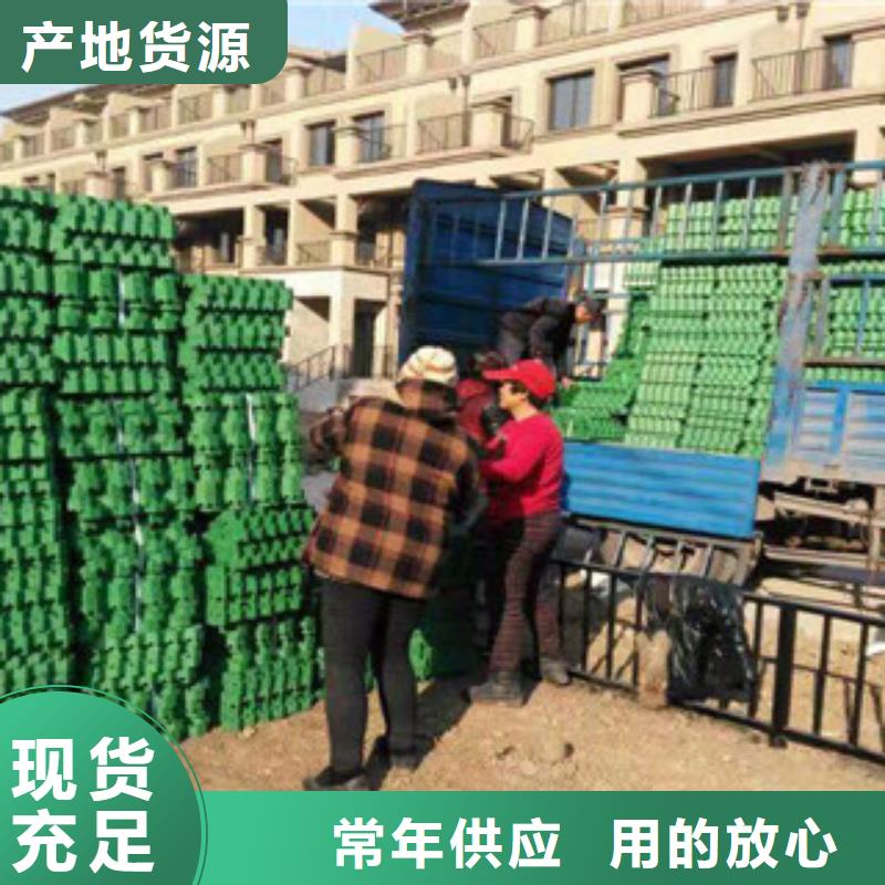 园林绿化植草格现货充足什么产品招免费代理商附近品牌