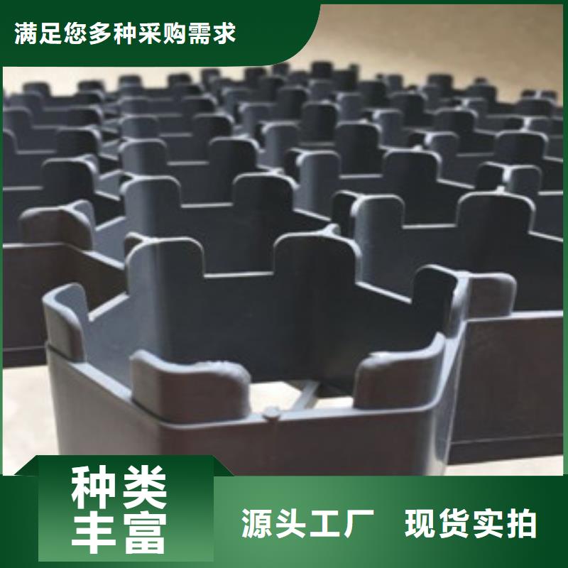 加强型hdpe植草格价格园林绿化草坪格停车场同城经销商