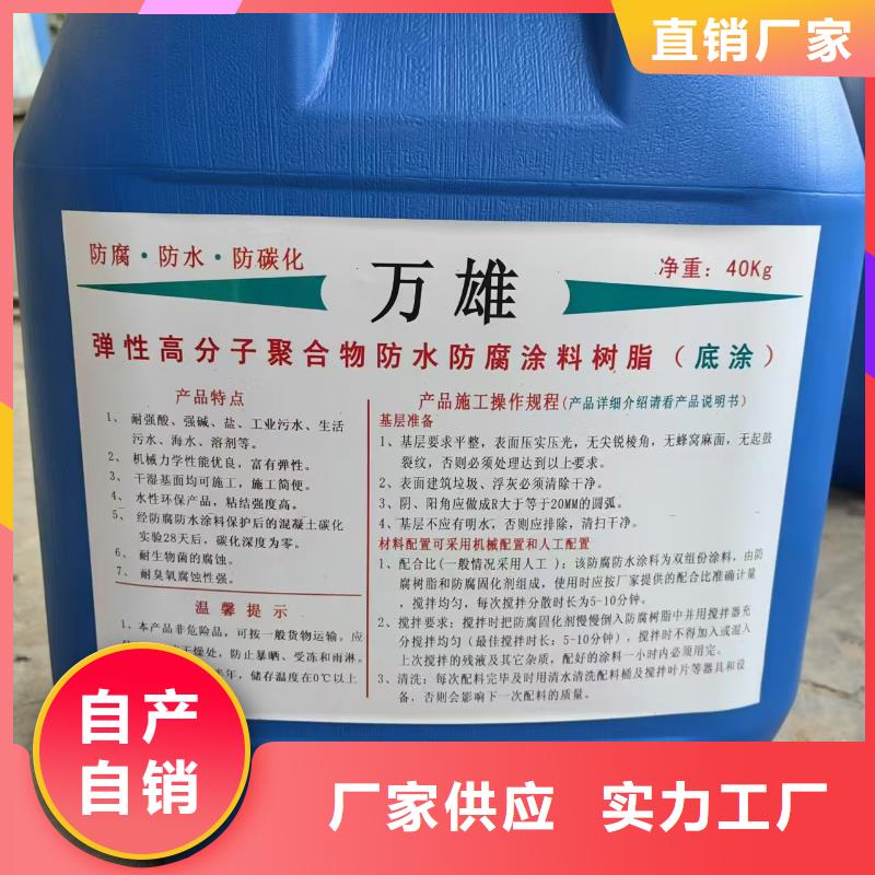 LV高分子聚合物防水防腐涂料每一处都是匠心制作订制批发乙烯基酯厚浆型防腐防水涂料一对一为您服务