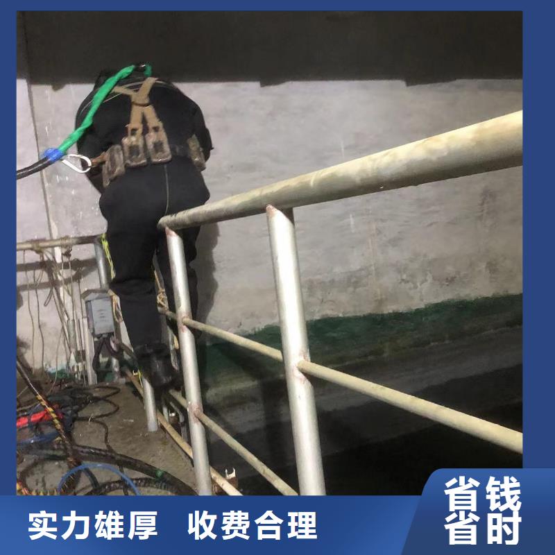 水下照相快速响应品质卓越