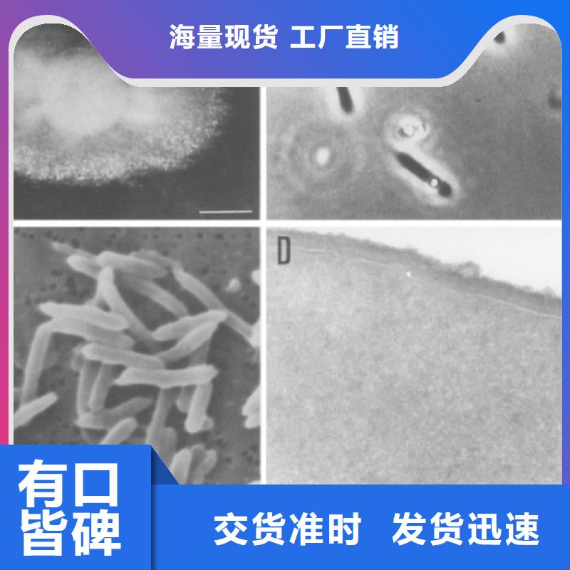 【碳源纤维束原厂制造】厂家定制