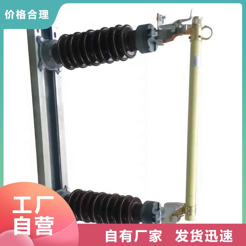 熔断器【金属氧化物避雷器】精心打造专注细节专注品质