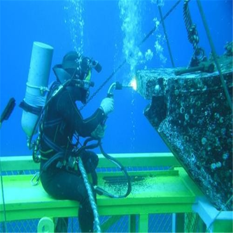 雅安市水下服务公司-专业潜水队伍