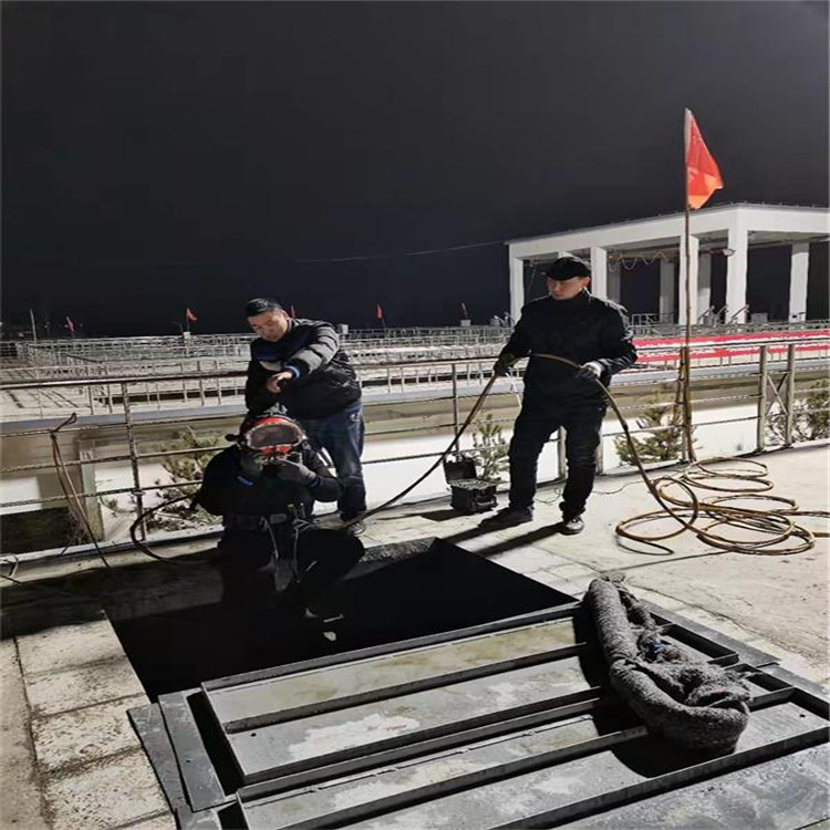 灌南县打捞救援-水下打捞救援施工队