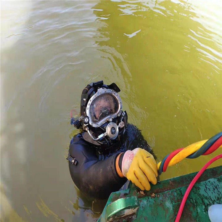 金湖县救援打捞队-蛙人潜水队伍