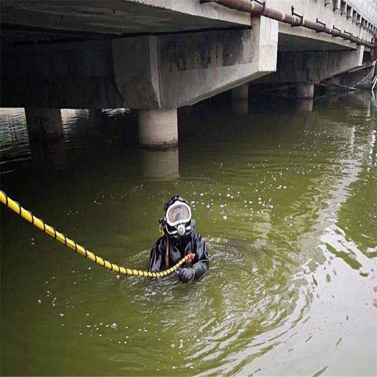 上海销售市闵行蛙人打捞队承接各种水下施工