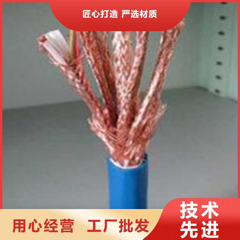 计算机电缆-信号电缆源头厂家量大价优全新升级品质保障