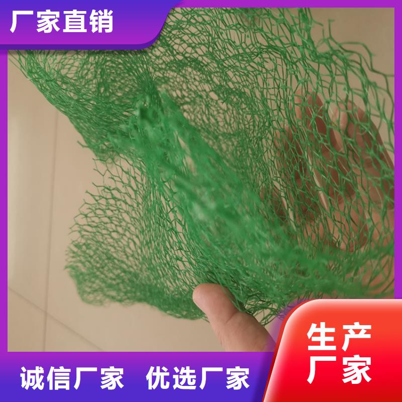 三维植被网_防水板源厂定制附近经销商