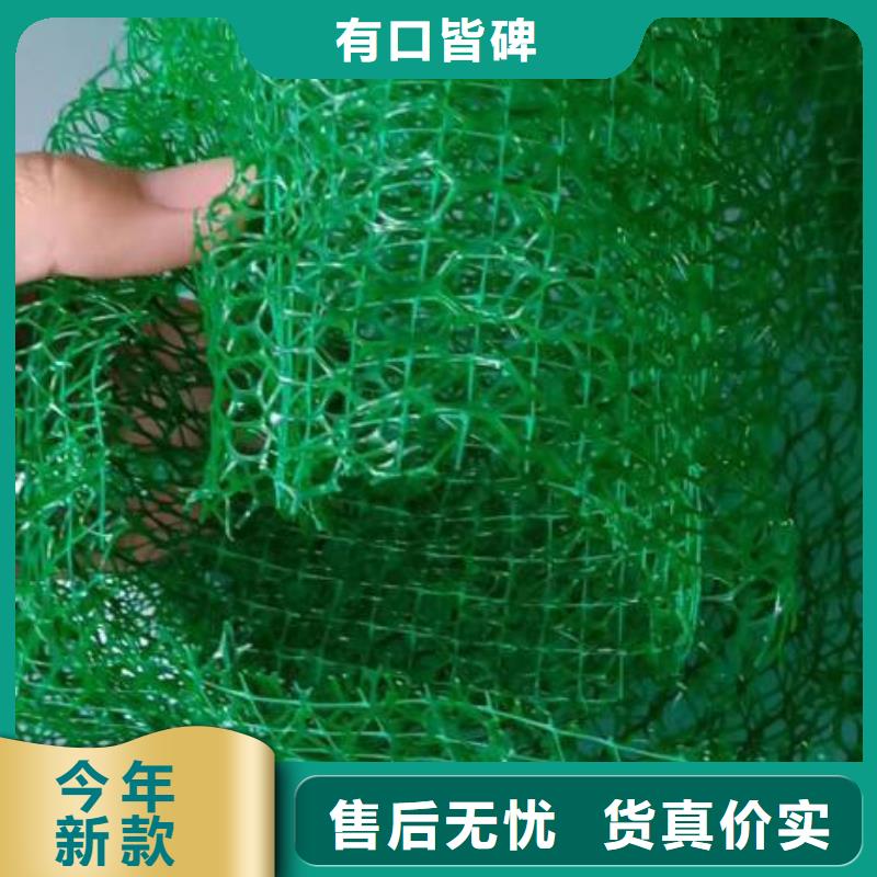 三维植被网【铜止水生产厂家】实力优品质量检测