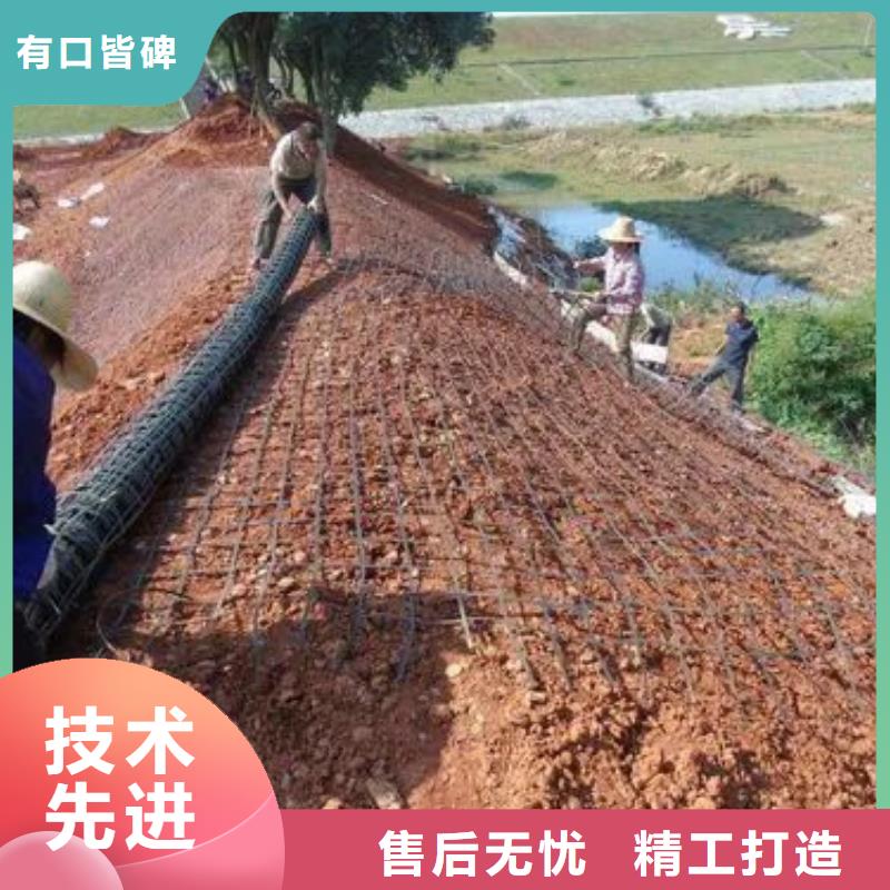 土工格栅-止水铜片价格实在本地制造商