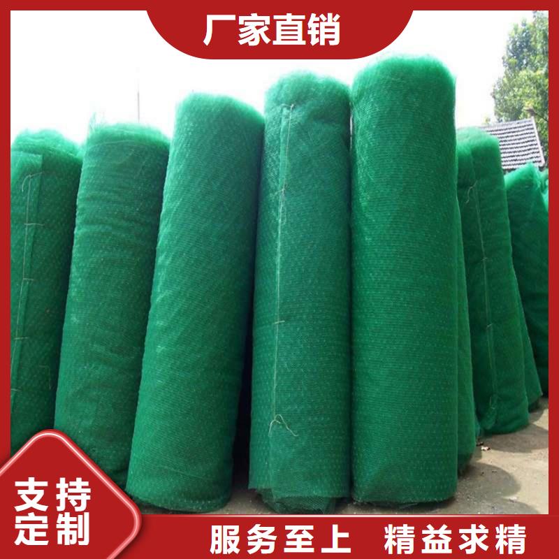 三维植被网土工布多种场景适用厂家新品