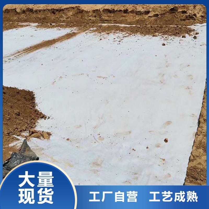 【膨润土防水毯双向塑料土工格栅实力商家供货稳定】【本地】供应商