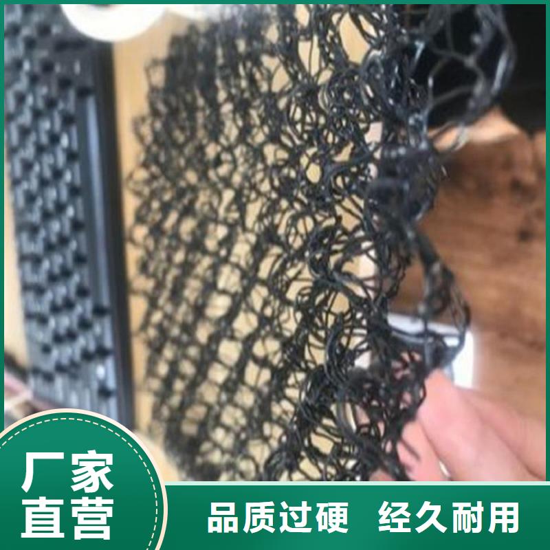 水土保护毯玻纤格栅工艺成熟质量优价格低